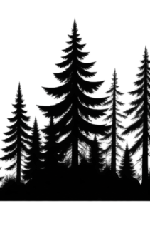 Weißes T-Shirt mit schwarzer Wald-Silhouette aus Tannenbäumen auf dunklem Hintergrund.