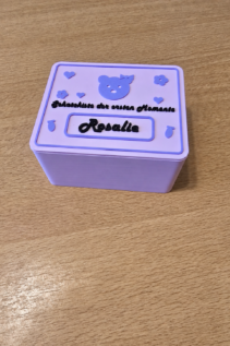 Geschlossene personalisierte 3D-gedruckte Schatzkiste in Lila auf einem Holztisch, mit Teddy-Motiv, Herzchen und Name Rosalie auf dem Deckel.
